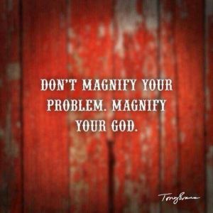 magnify