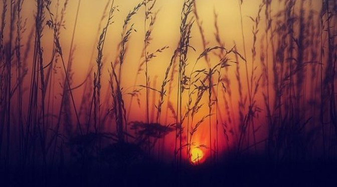 Would you like that Super-Sized?